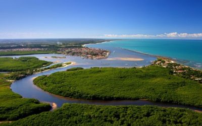 Fórum Florestal da Bahia realiza dia de campo sobre água