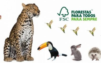 Fórum Florestal PR e SC contribuirá com a revisão dos padrões nacionais de manejo florestal do FSC