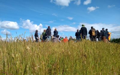 Plantações Florestais na Paisagem: diálogo de campo realizado na Nova Zelândia
