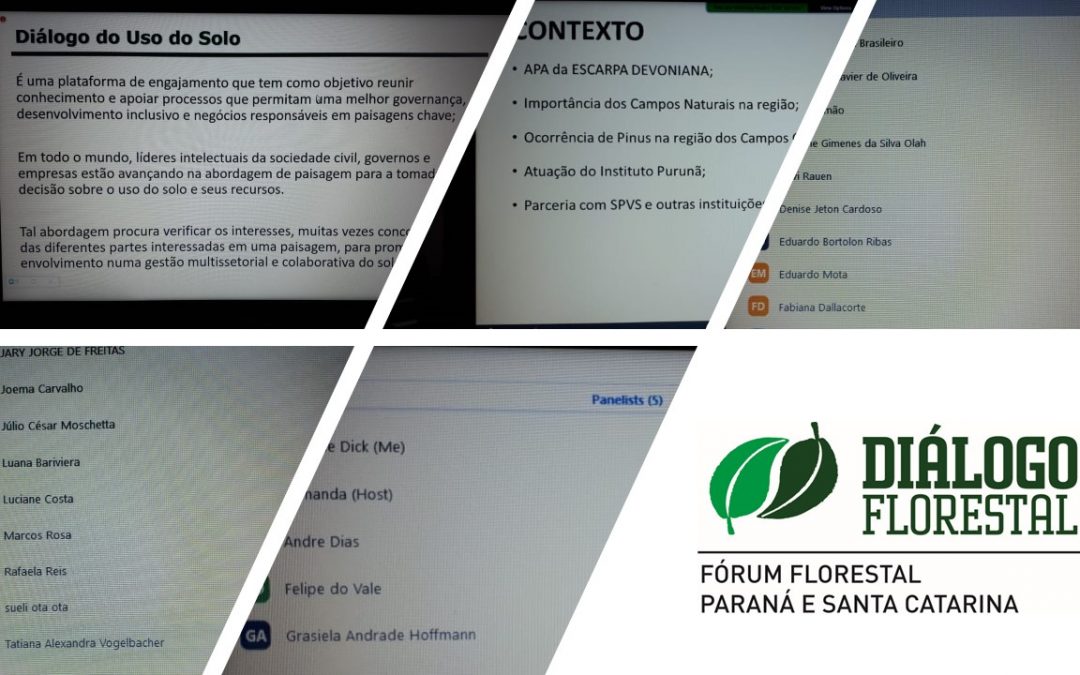 Fórum Florestal Paraná e Santa Catarina realiza plenária a distância