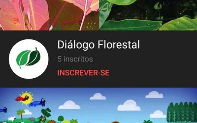 Canal do YouTube do Diálogo Florestal é lançado