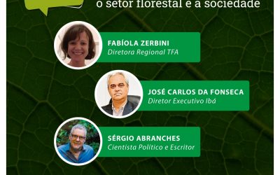 Série de lives ‘Diálogos Florestais’ irá promover a interação entre empresas e sociedade civil