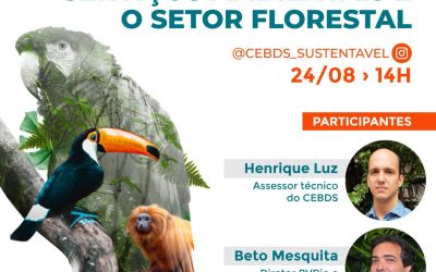 CEBDS e Diálogo Florestal realizam live sobre Pagamento por Serviços Ambientais