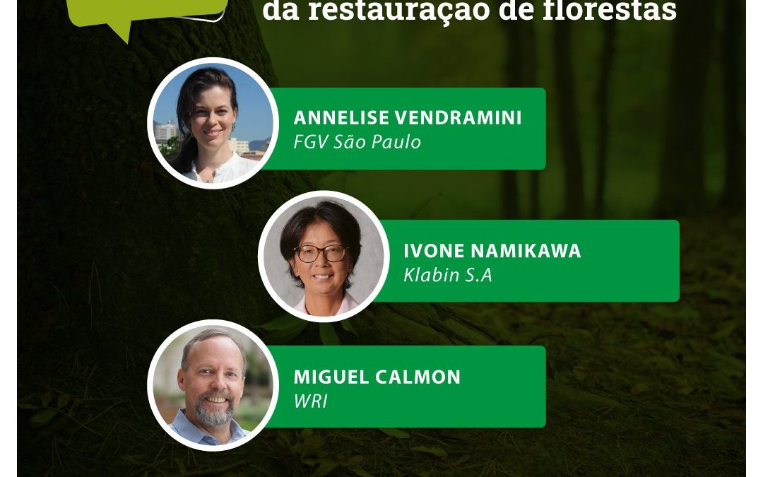 Oportunidades econômicas da restauração de florestas é tema da live da série ‘Diálogos Florestais’