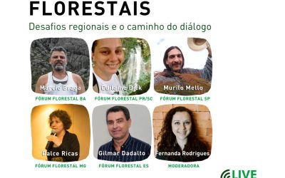Fóruns Florestais do Diálogo estreiam série de lives