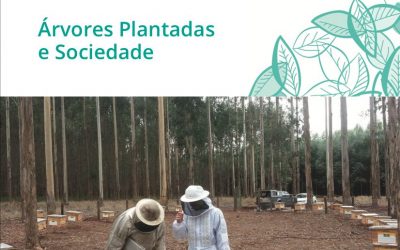 Diálogo Florestal lança segunda edição de publicação que traz casos de sucesso no setor florestal