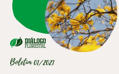 Inscreva-se para receber as notícias do Diálogo Florestal