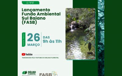 Fórum Florestal da Bahia lança fundo para financiar restauração da Mata Atlântica no estado