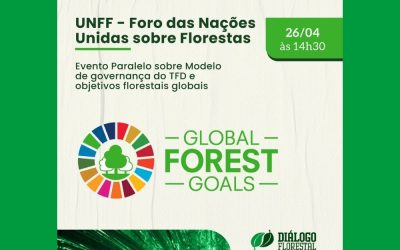Diálogo Florestal participa de evento paralelo ao Fórum das Nações Unidas sobre Florestas