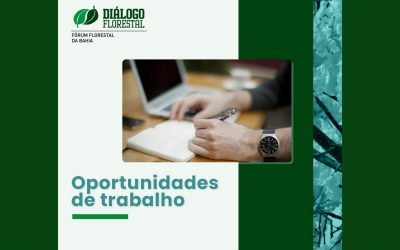 Fórum Florestal da Bahia lança termos de referência para três oportunidades de trabalho