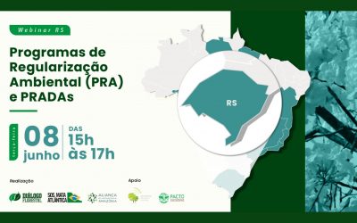 Série de webinars do Diálogo Florestal chega ao Rio Grande do Sul