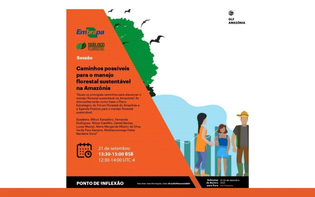 GLF Amazônia: conferência internacional discute o manejo florestal sustentável