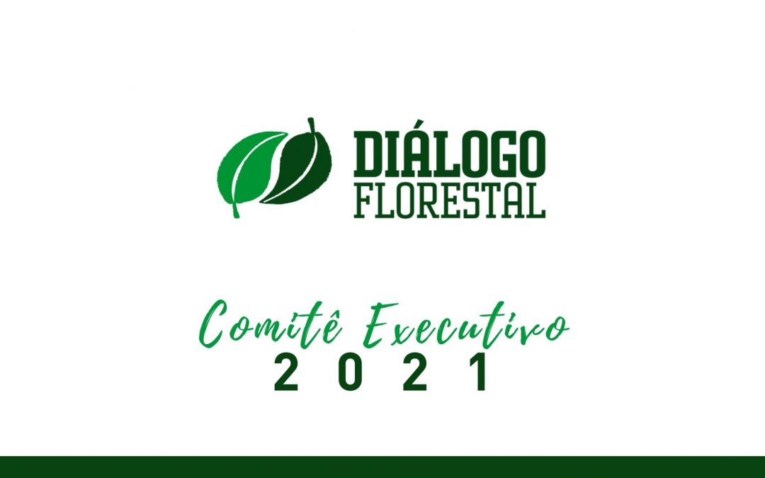 Comitê Executivo do Diálogo Florestal se reúne em agosto