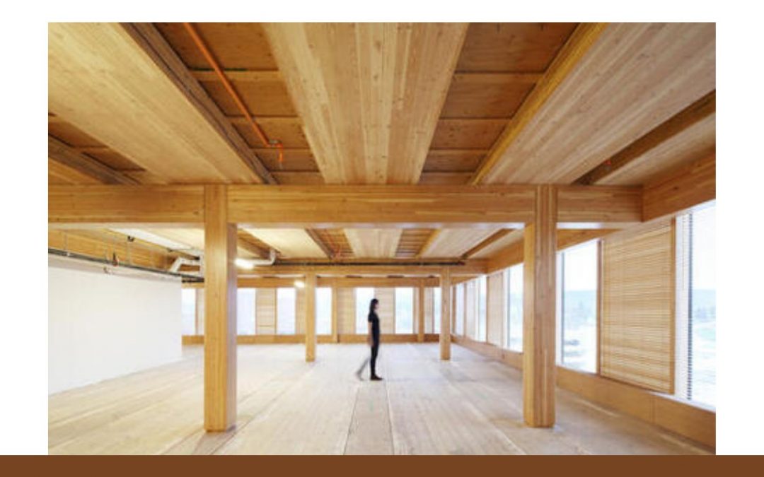 O futuro dos produtos de madeira para construção é tema de webinar promovido pela Universidade de Yale