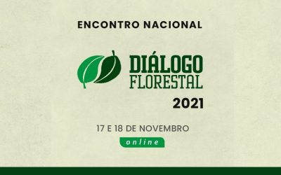 Diálogo Florestal encerra 2021 com importantes avanços em representação