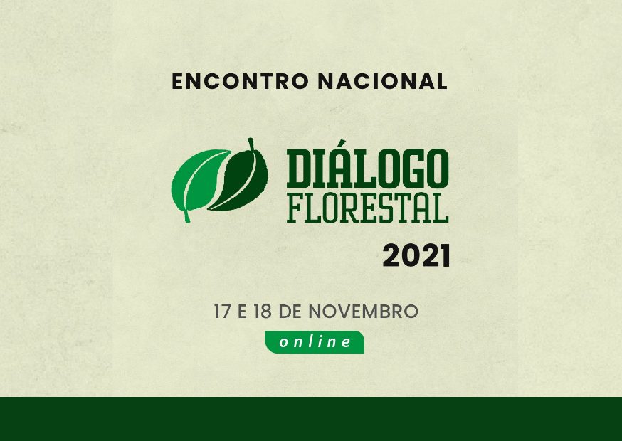 Diálogo Florestal encerra 2021 com importantes avanços em representação