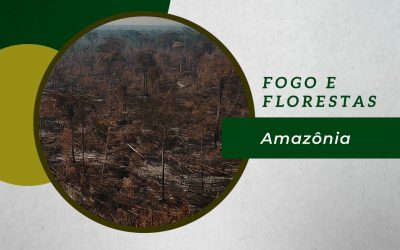 Mesa redonda: fogo no contexto da Amazônia