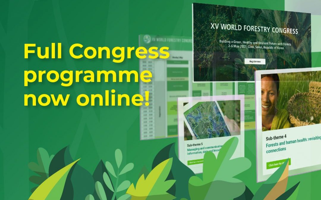 Diálogo Florestal no XV Congresso Florestal Mundial