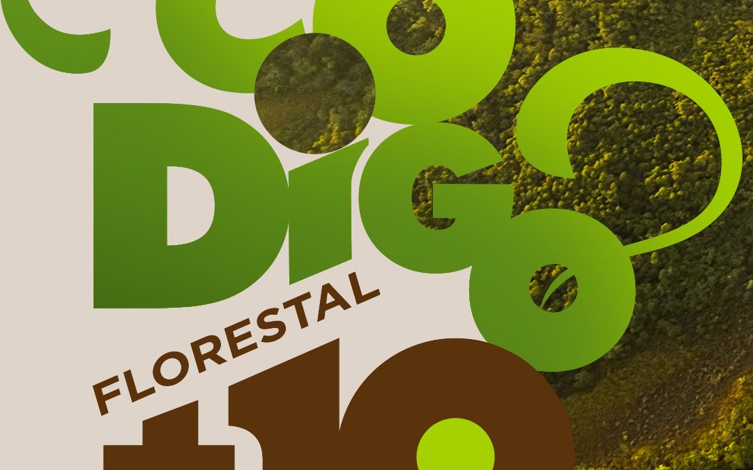 Eventos em comemoração aos 10 anos do novo Código Florestal contam com participação do Diálogo Florestal