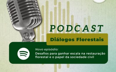 Podcast apresenta os desafios para ganhar escala na restauração florestal