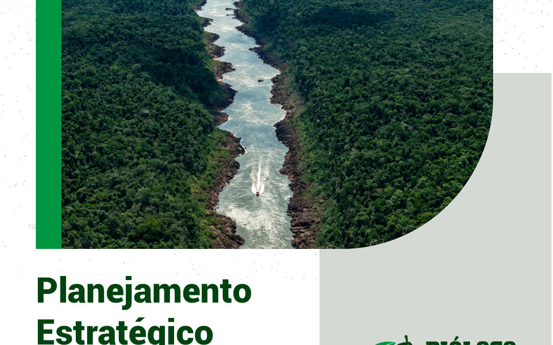 Diálogo Florestal inicia 2023 com novo planejamento estratégico