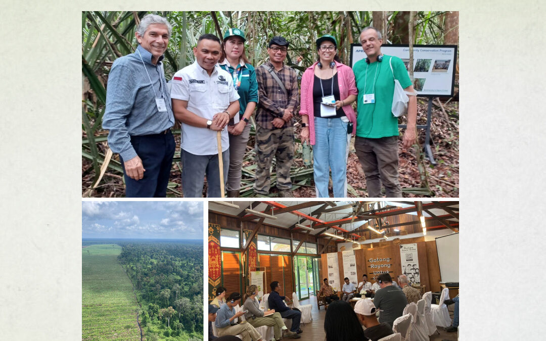 Diálogo Florestal participa da iniciativa Plantações Florestais na Paisagem em Riau, Indonésia