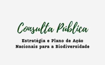 Consulta pública para atualização da Estratégia e Plano de Ação Nacionais para a Biodiversidade
