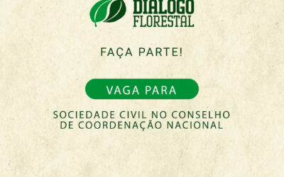 Diálogo Florestal abre uma vaga para sociedade civil no Conselho de Coordenação nacional