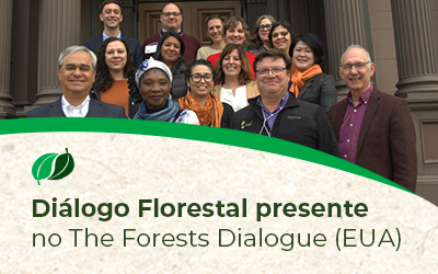 Mudanças climáticas, restauração e paisagens sustentáveis foram discutidas na semana do The Forest Dialogue, nos EUA