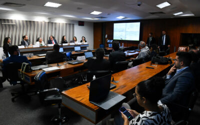 Diálogo Florestal participa de audiência pública sobre Código Florestal no Senado Federal