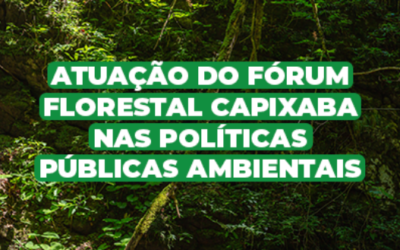 Saiba mais sobre a participação do Fórum Florestal Capixaba no fortalecimento da legislação e implementação das políticas públicas ambientais no Espírito Santo