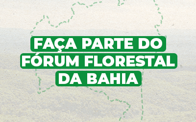 Saiba como sua instituição pode tornar-se membro do Diálogo Florestal na região da Bahia