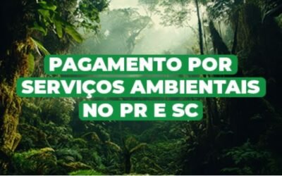 Conheça algumas estratégias do Fórum Florestal Paraná e Santa Catarina para Advocacy em Pagamentos por Serviços Ambientais (PSA)