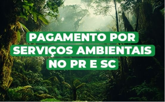 Conheça algumas estratégias do Fórum Florestal Paraná e Santa Catarina para Advocacy em Pagamentos por Serviços Ambientais (PSA)