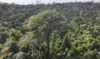 Biodiversidade no centro do diálogo