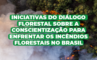 Conheça as iniciativas do Diálogo Florestal que promovem a conscientização e a colaboração para enfrentar os incêndios nas florestas brasileiras