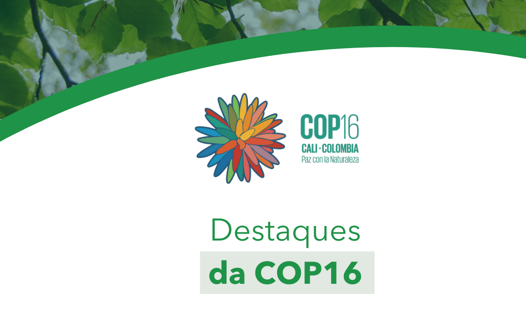 COP16: destaques e balanço da participação brasileira no maior evento sobre biodiversidade do mundo