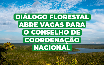 Diálogo Florestal abre vagas para o Conselho de Coordenação Nacional