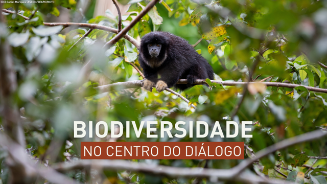 Biodiversidade no centro do Diálogo