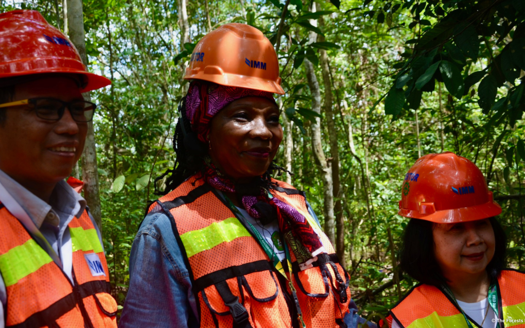 The Forests Dialogue publica relatório do Diálogo de Campo sobre Restauração de Ecossistemas na Indonésia