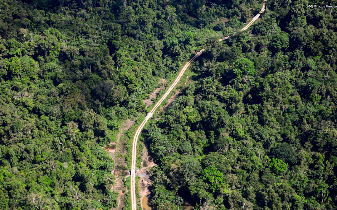 Fórum Florestal da Amazônia divulga posicionamento para o fortalecimento do manejo florestal sustentável e da legalidade na região