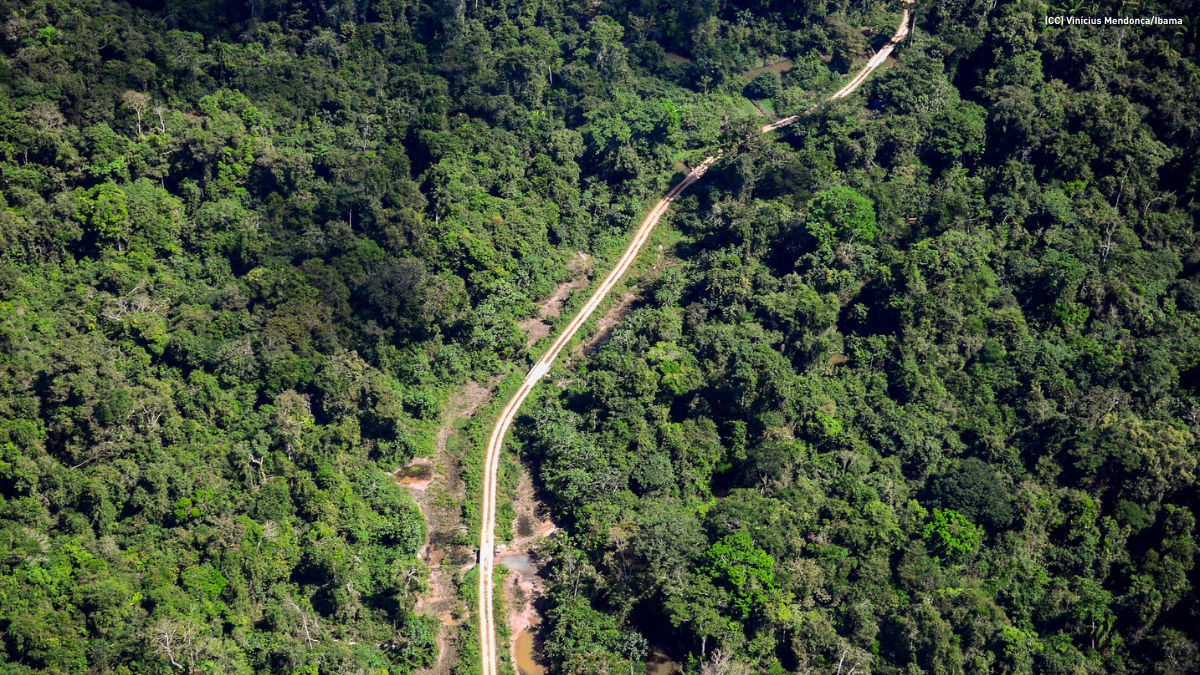 Amazônia - Legalidade