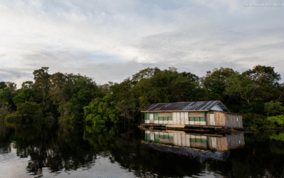 Diálogo de Uso do Solo na Amazônia traça visão comum de paisagem para Área de Endemismo Belém