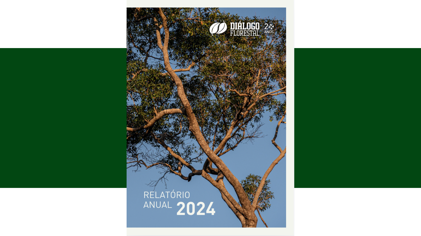 relatório Df 2024 - 1