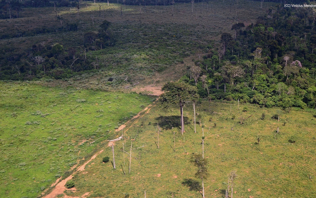 Regularização fundiária no Pará foi tema de seminário promovido pelo Fórum Florestal da Amazônia