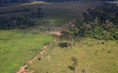 Regularização fundiária no Pará foi tema de seminário promovido pelo Fórum Florestal da Amazônia
