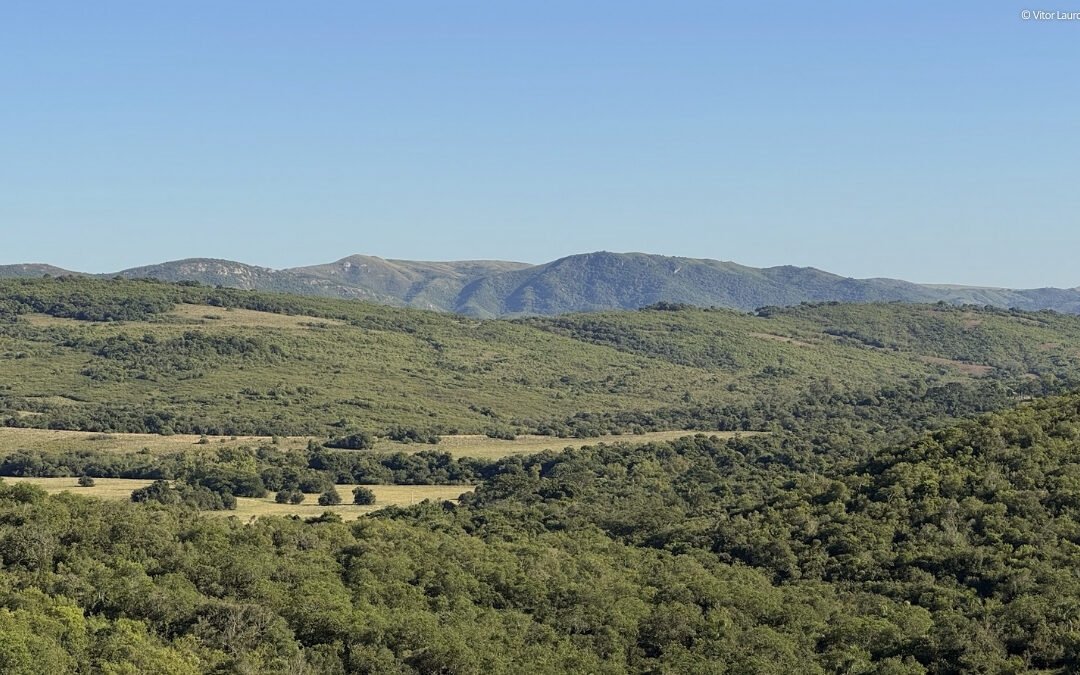 Diálogo do Uso do Solo mobiliza soluções sustentáveis no Pampa
