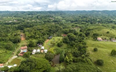 Fórum Florestal da Bahia se reúne membros e convidados para dialogar sobre desafios socioambientais do território