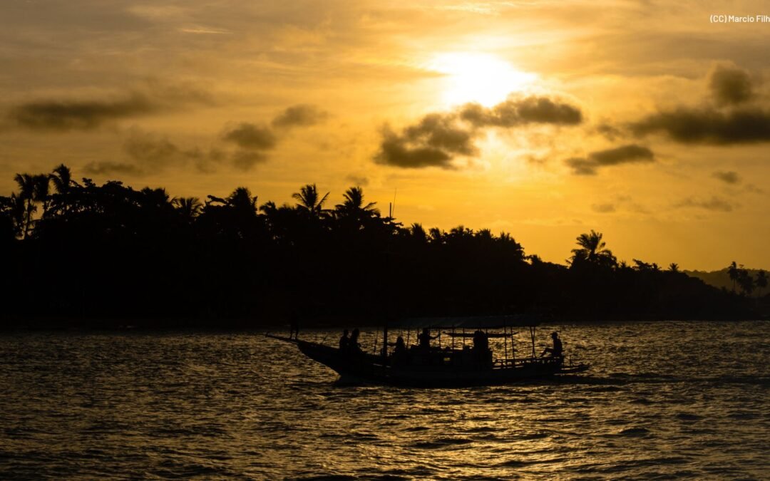 Fórum Florestal da Bahia lança moção de repúdio à Coelba/Neoenergia