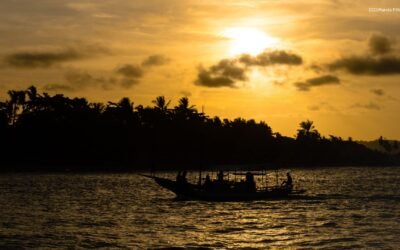 Fórum Florestal da Bahia lança moção de repúdio à Coelba/Neoenergia